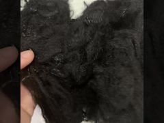 Sợi rỗng 2D tái chế nguyên bản 2,5D * 64mm