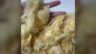 Sợi đậu nành 1,5DX51mm