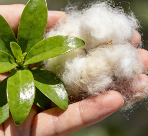 Tin tức công ty mới nhất về Sợi rỗng đen trắng: Lựa chọn hàng đầu cho sản xuất dệt may & công nghiệp