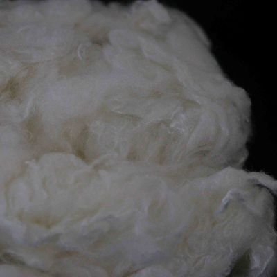 Mua Sợi viscose chống cháy có thể tùy biến 4.44D sợi chống cháy nguyên thủy sản xuất trực tuyến