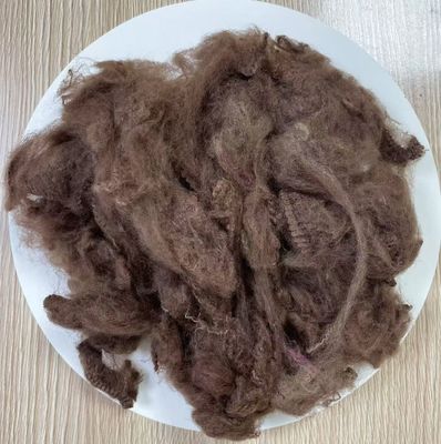 Giá tốt. Xơ polyester tái chế 2.5D 51mm Màu Cà phê Đậm trực tuyến