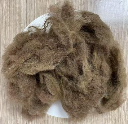 Giá tốt. Xơ polyester tái chế độ giãn dài thấp 25D 65mm Màu Lạc đà đậm trực tuyến