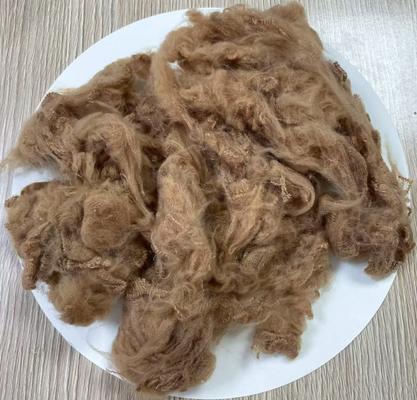 Giá tốt. Sợi Staple Polyester tái chế 1.5D 38mm Light Camel trực tuyến