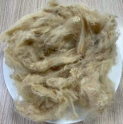 Giá tốt. Xơ polyester tái chế 6D 51mm Màu be Độ bền cao trực tuyến