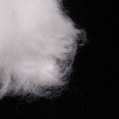 Giá tốt. Propylen Side By Side Nhân tạo Sợi Staple Polyester nhẹ cho mặt nạ trực tuyến