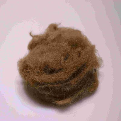 Giá tốt. Tương thích với môi trường 4080 Polyester Sợi Staple màu nâu thoải mái Polyester Sợi ngắn trực tuyến