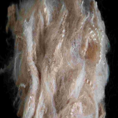 Giá tốt. Nhựa tái chế PSF Polyester Stainle Fiber Tăng độ kéo dài Palm Brown For Textile trực tuyến