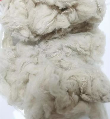 Giá tốt. Sợi nhựa polyester 6D chống va chạm tốt Sợi dệt tổng hợp không silicon hóa cho nhu cầu của bạn trực tuyến