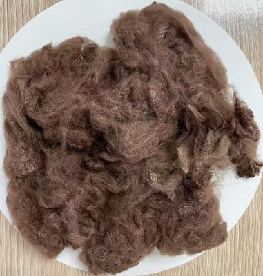 Giá tốt. Sợi Staple Polyester tái chế 2.5D 51mm Màu cà phê trực tuyến