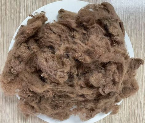 Giá tốt. Sợi Staple Polyester tái chế 2.5D 51mm Cà phê vàng Kháng nhăn cao trực tuyến