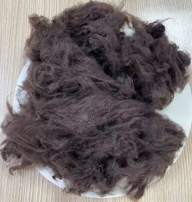 Giá tốt. không siliconized Polyester tái chế Sợi 1.5D 38mm Dark Coffee trực tuyến