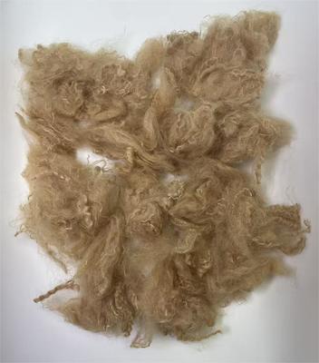 Giá tốt. Recycled Polyester Staple Fiber with 38-64mm Fiber Cut Length High Tear Resistance and 0.4% Moisture Regain trực tuyến